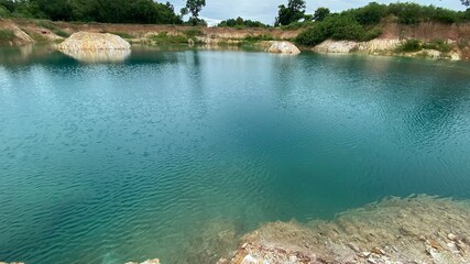 lake in the forest