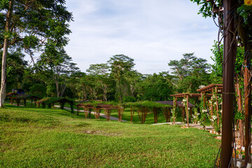 The best thing about nature is that they are original