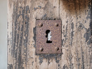 Weather damaged wooden door, old rusty lock. Detail, keyhole.