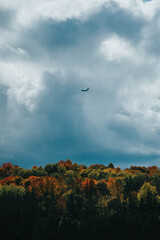 plane flying with trees