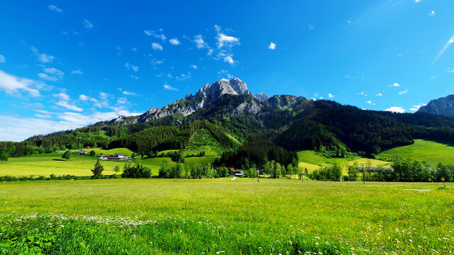 Beautiful mountain landscape in Johnsbach Austria stock images. Green fresh meadow and mountains in Austria stock images. Lush green grass mountain landscape stock photo