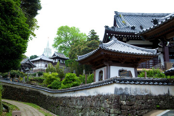 寺院と教会の見える風景