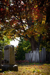 Old cemetery in fall