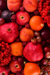 Autumn background still life of multicolored fruits. Place for text

