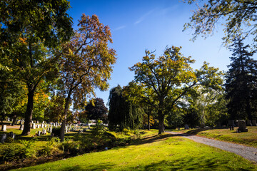 Old cemetery in fall