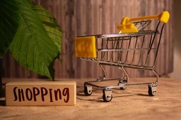 summer photo with a shopping cart and the inscription shopping