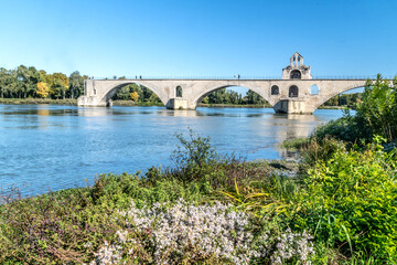 Fototapeta premium Pont d'Avignon