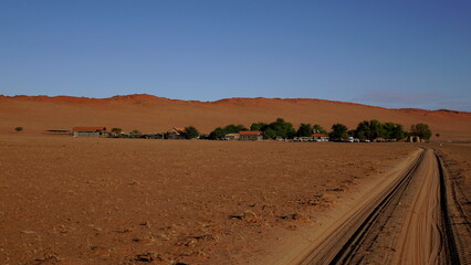 Fototapeta na wymiar Oasis in the desert of Namibia. Road in the desert. Green wood in the desert.