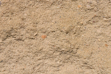 Rock texture. Light brown rocky rock.