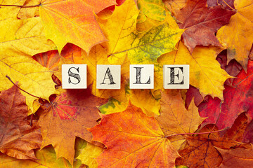 Naklejka na ściany i meble Word sale. Background from colorful maple leaves. Yellow and red autumn leaves. Pattern. Fall shopping concept. Four blank wooden blocks with lettering text sale.