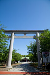 大阪護国神社の鳥居