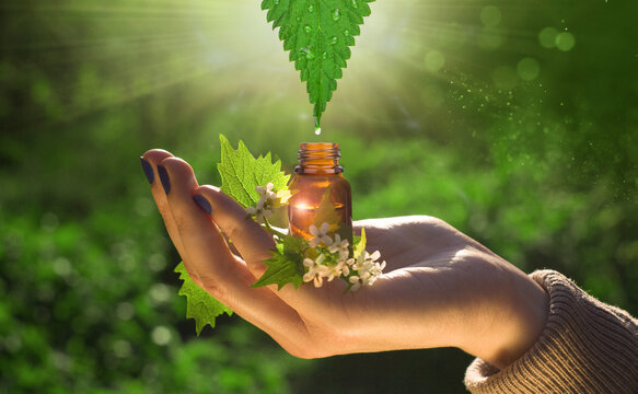 Natural medicine - herbal