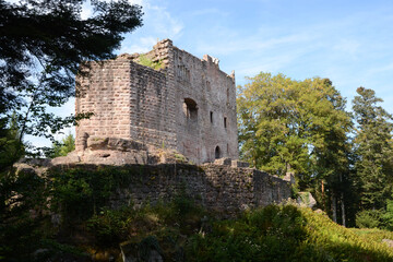 Fototapeta premium Château en ruine, Château du Birkenfels près de Barr en Alsace, France