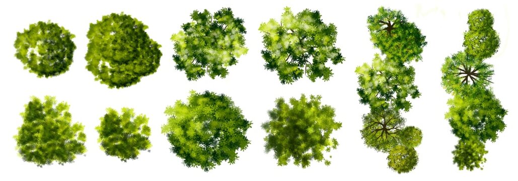 Collection of abstract watercolor green tree top view isolated on white background  for landscape plan and architecture layout drawing, elements for environment and garden.  