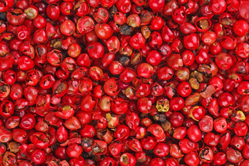 Pink peppers grains .Food background.