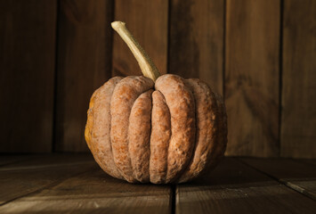 Kogigu pumpkin, Japanese variety of butternut squash on a wooden table.