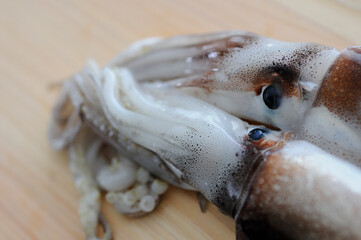 まな板の上のイカ