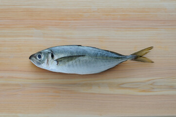 まな板の上の鯵