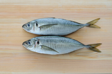 まな板の上の鯵