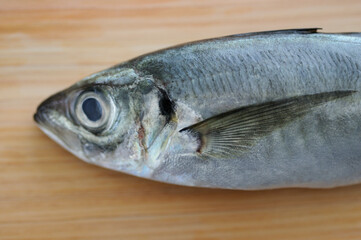まな板の上の鯵