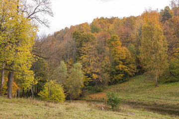 View of the autumn Park with trees with yellow and orange colored leaves