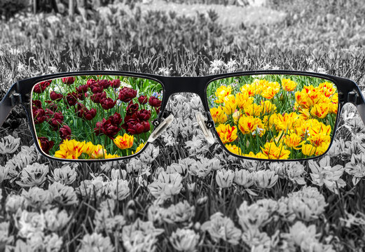 View of colorful tulips in glasses and monochrome background. Different world perception. Optimism, hopefulness, mental health concept.