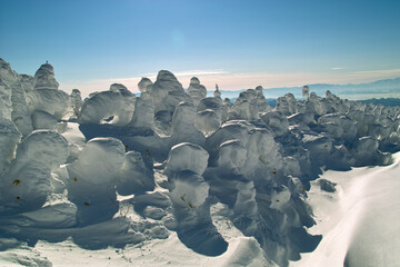 蔵王山の樹氷