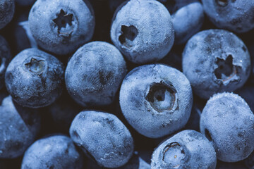 Frozen blueberry fruits, organic and vegan food. berries background. close up, top view