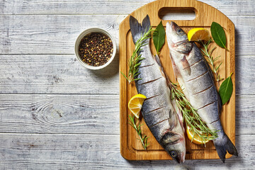 Sea Bass fresh fish gutted on a cutting board