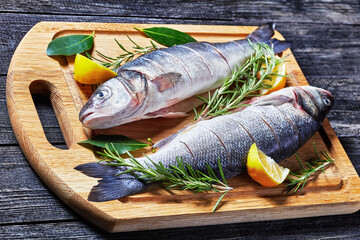 Seabass fresh raw with fresh rosemary and lemon