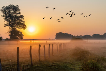 Flug zum Fr&uuml;hst&uuml;ck