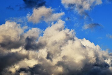 Cielo