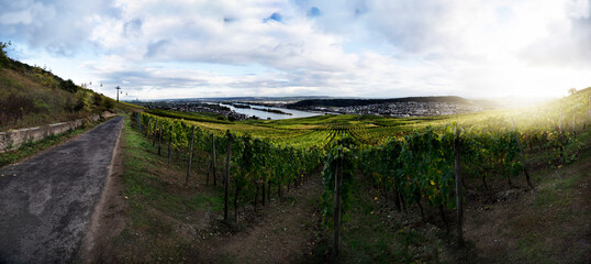 Naklejka premium Rüdesheim am Rhein