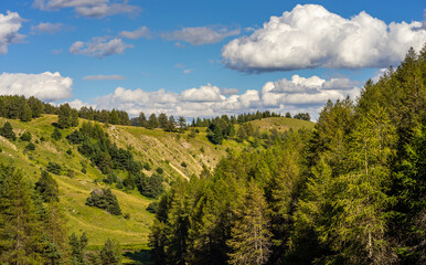 Obraz premium Alpage en été