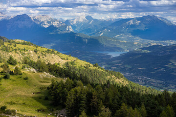 Alpage en été