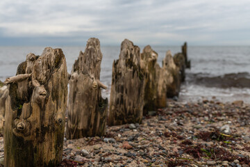 Buhne , Wellenbrecher an der Ostsee, abgenutzt, alt
