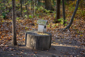 Fototapeta premium Bird feeder in the autumn forest.