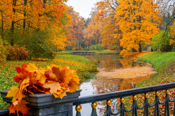 Catherine park in autumn, Tsarskoe Selo (Pushkin), St. Petersburg, Russia