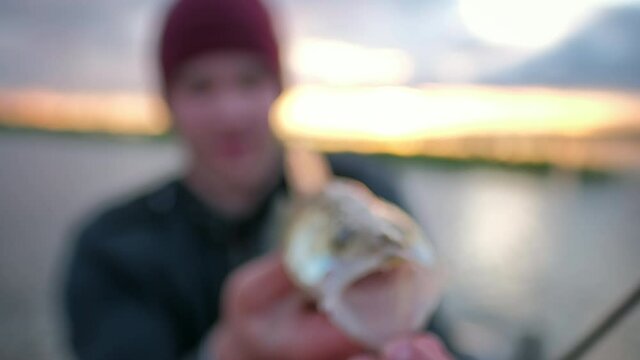 Angler with little zander fish. Young fisherman shows his little trophy - zander fish
