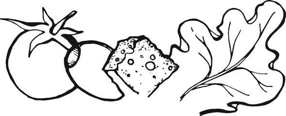 appetizer, salad, olive, cheese, hand draw sketch, black and white illustration, vector