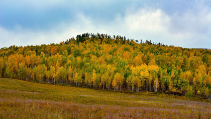 autumn landscape in the mountains