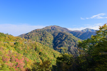 徳島県のつるぎ山の秋の始まり