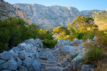 autumn colors in mountains, yellow trees and blue sky, croatia, zivogosce