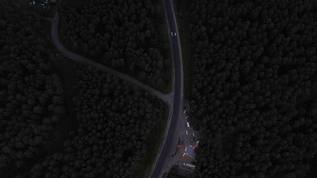 Night road along the forest, shooting from a height. Twilight