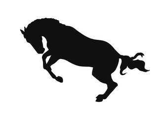Horse having fun and jumping on the loose, vector silhouette