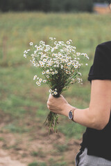 Fototapeta na wymiar person picking flowers