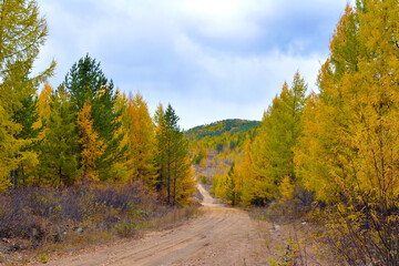 Fototapeta na wymiar autumn landscape in the mountains of Transbaikalia
