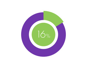 16% Percentage, 16 Percentage Circle diagram infographic
