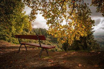 panchina al parco della burcina fra alberi in foliage