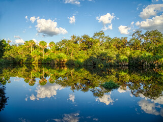 Reflections of clouds and trees in smooth calm Myakka River in Vemice Florida in the United States